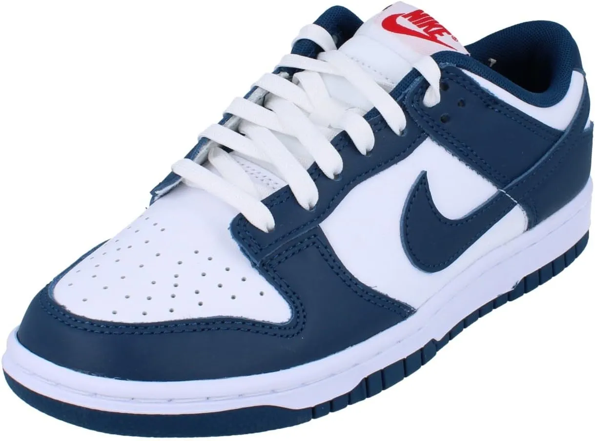 Nike Women's Basketball Shoe